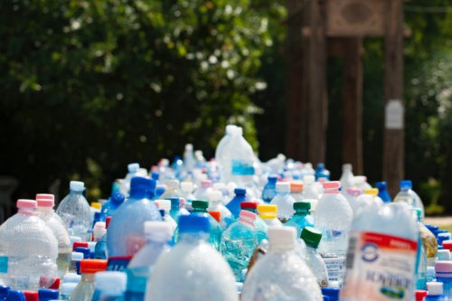 plastic bottles lined up