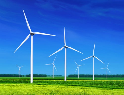 wind turbines in a field